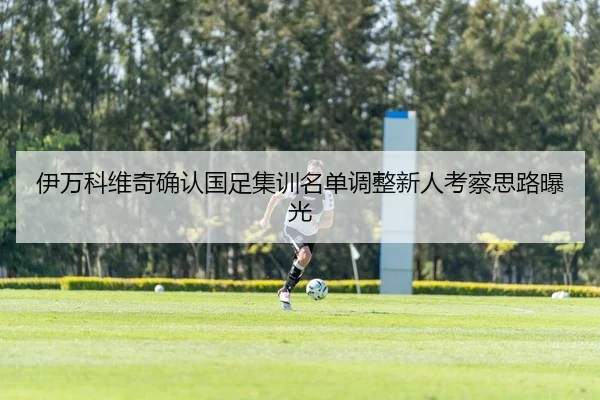 伊万科维奇确认国足集训名单调整新人考察思路曝光